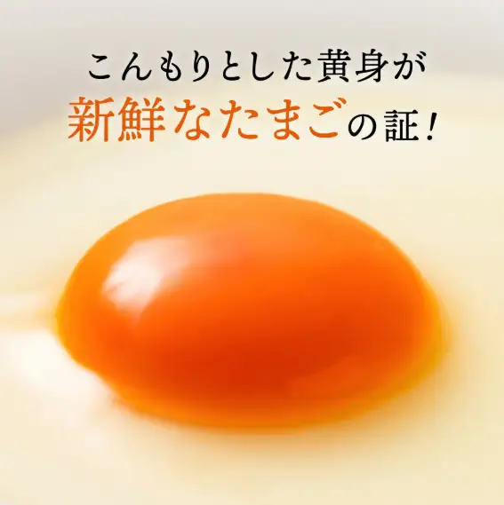 【累計600万個突破！】【TVで紹介されました】タズミの卵Ｍサイズ（20個）005AB02N.／こだわり卵 市川町産 兵庫県産 たまご たまごかけご飯 玉子 生卵 鶏卵 タマゴ 卵焼き TKG