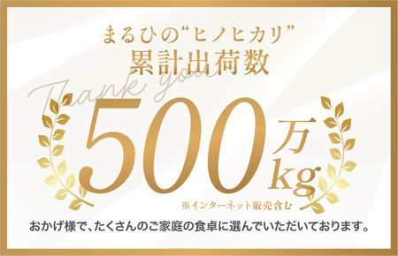 令和7年産 愛媛県産 ヒノヒカリ 10kg