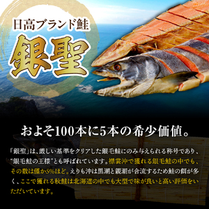 えりも【マルデン特製】日高産銀聖鮭山漬切身2切入×7パックセット【er002-007-b】国産 北海道産 日高産 ブランド鮭 銀聖鮭 サケ シャケ 銀毛 銀毛鮭 塩鮭 塩漬 塩漬け 山漬け 切り身 魚介 海鮮 海産物 人気