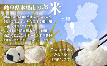 令和7年産 こしひかり 5kg 米 コシヒカリ こめ ごはん 白米 岐阜県 本巣市 お米 精米 甘い 和食 寿司 本巣市 17000円 くどみフルーツ農園