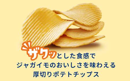 ザ厚切りのための ３種セット うすしお・コンソメ・のりしお 各4袋 カルビー ポテトチップス 《千歳工場製造》