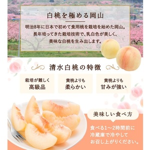 桃 2026年 先行予約 清水白桃 6～8玉 約1.5kg 化粧箱入り 岡山県 赤磐市産 果物 フルーツ 白桃 もも モモ