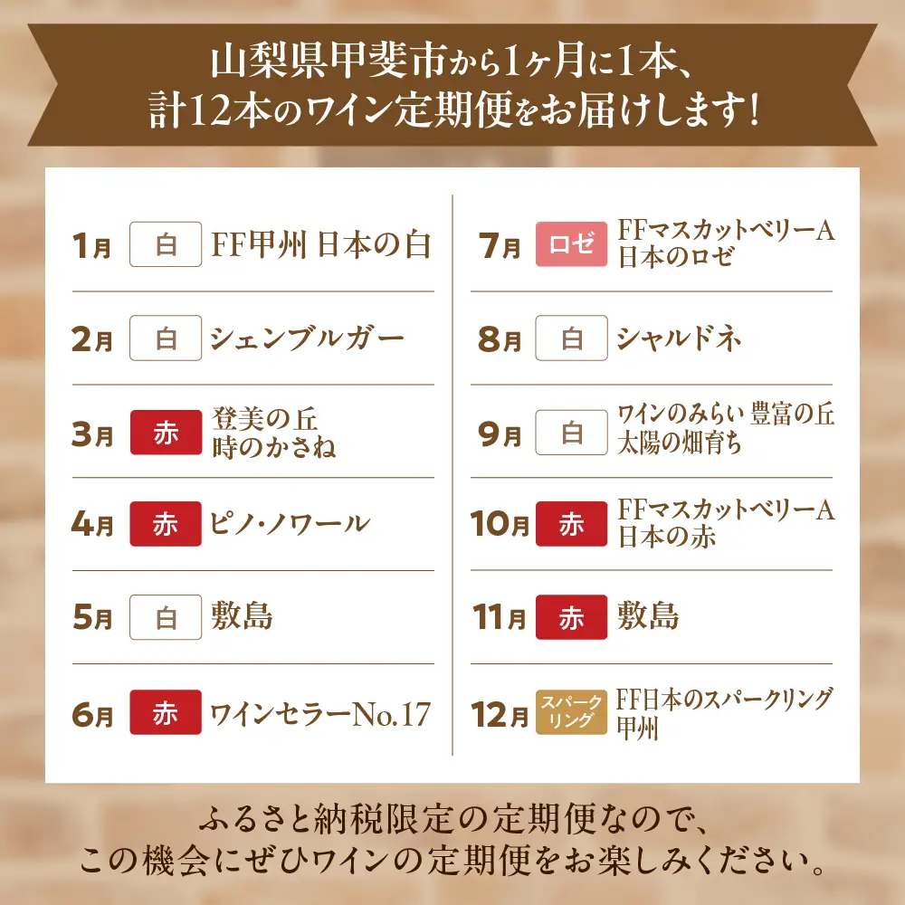 甲斐市産 赤白ワイン 12本 定期便 ワイン 山梨ワイン 山梨県 甲斐市 AD-315