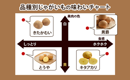 【 2026年 出荷 先行予約 】 北海道 倶知安 産 じゃがいも とうや L サイズ 10kg 馬鈴薯 いも 芋 グリーンアースファーム 農家 直送 野菜 産地直送