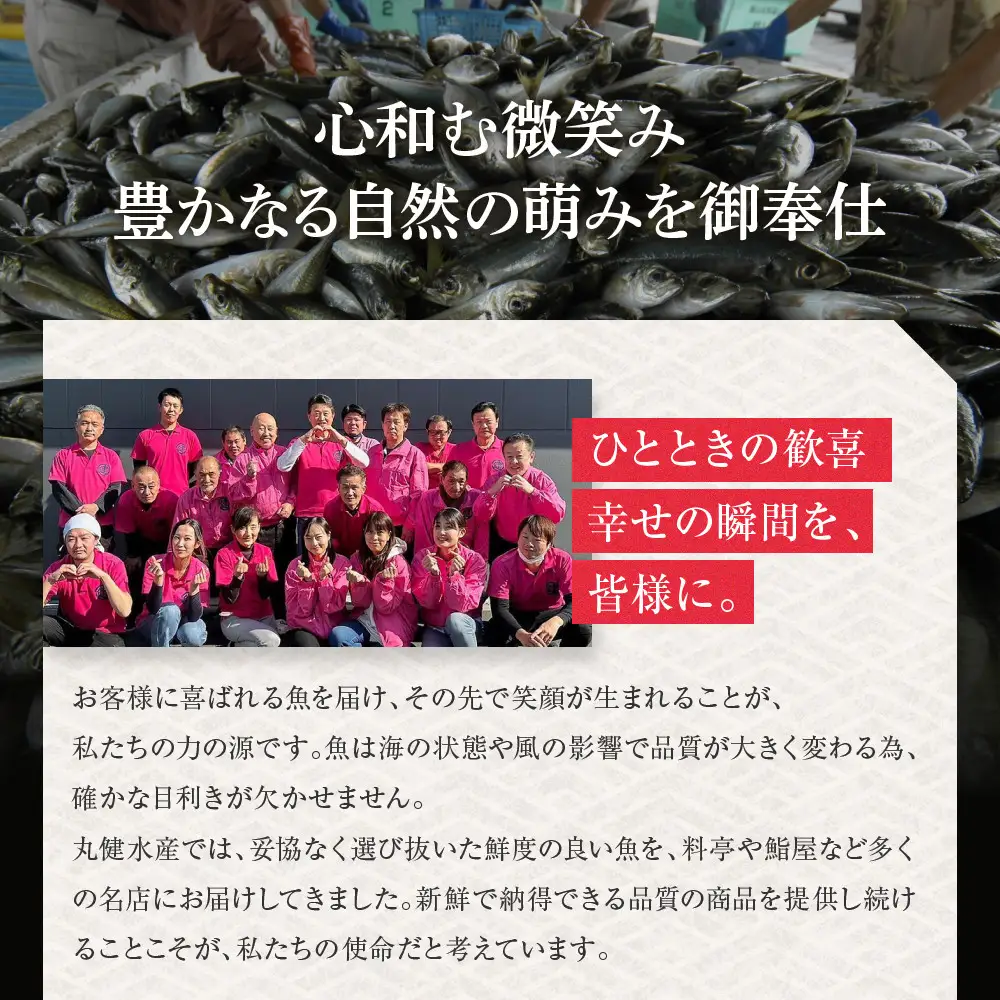 【まるけん水産】本鮪の甘露煮 300g×3袋｜京都 マグロ 甘露煮 人気 中央卸売市場