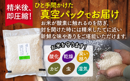 白米 精米 【令和7年産】あいかみのお米 1kg（1kg × 1パック） / お米 お米 