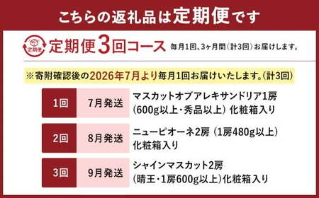 【3回定期便】 マスカットオブアレキサンドリア ニューピオーネ 晴王 【2026年7月上旬より順次発送開始】 葡萄 ブドウ ぶどう フルーツ 果物 ギフト 国産 岡山県産