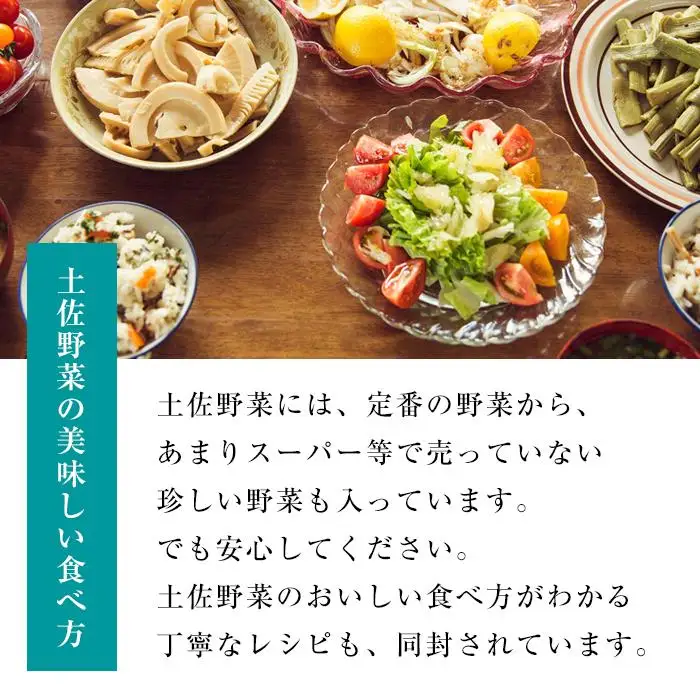 やさい 10~13品目 詰め合わせ セット 南国市 やさい