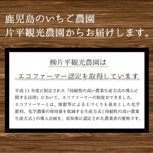No.1309 苺ジャム(200g×2本)と不知火ジャム(200g×2本) 国産 九州産 鹿児島県産 いちご イチゴ 苺 不知火 しらぬい ジャム フルーツ 果物 柑橘 手作り 手造り 調味料 小分け 贈答 プレゼント 保存料無添加 着色料無添加【片平観光農園】【907】