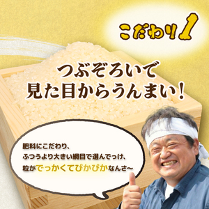 コシヒカリ 5kg 令和7年産コシヒカリ 特別栽培米 新潟 プレミアム 
