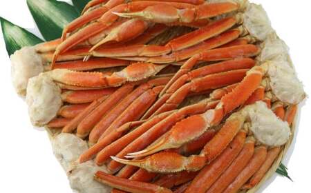 ボイルずわい蟹 3kg（4Lサイズ  7～9肩）「かに鍋・かにしゃぶ・海鮮BBQにオススメ」かに カニ ずわい蟹 足 脚 ボイル しゃぶしゃぶ 鍋 海鮮 BBQ バーベキュー 冷凍