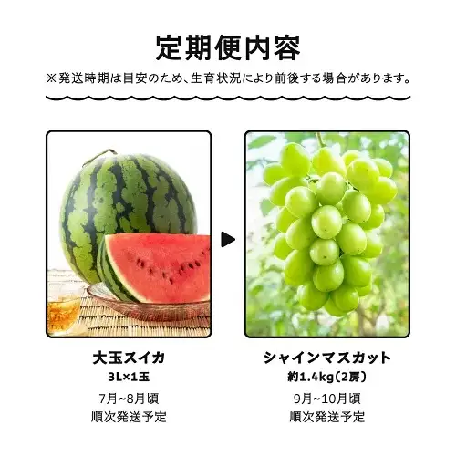 令和8年産 フルーツ定期便 全2回 大玉すいか シャインマスカット ja-ft2ss-b
