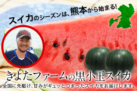【先行予約】『きよたファーム』の黒小玉すいか2玉セット 1玉約2.5-4kg前後 熊本県玉名郡玉東町『きよたファーム』《2026年7月上旬-8月中旬頃出荷》｜人気スイカ ブランドスイカ 特産スイカ 熊本県スイカ 玉東町スイカ 大人気返礼品