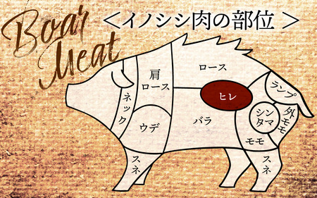 能登 穴水産 天然猪肉 ヒレ ブロック 約500g | いのしし 肉 天然