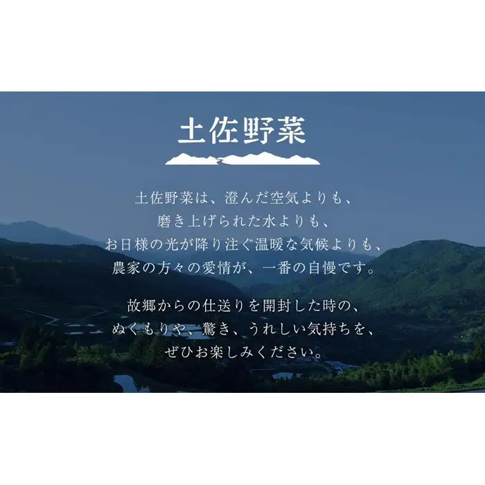 旬の土佐野菜セット 旬の詰め合わせ小セット 6回定期便 野菜
