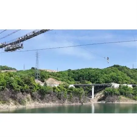 【GRAVITATE OSAKA】ブリッジスイング+入園・吊り橋＆飲食クーポン券(1名様分)【1659626】