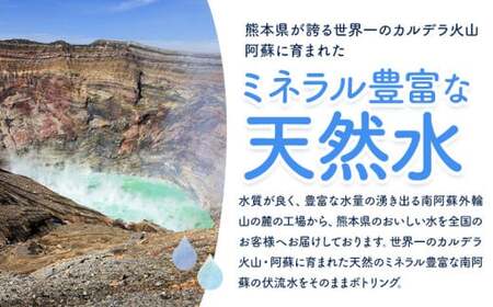 【2ヶ月定期便】水 熊本 の おいしい お水 阿蘇山 天然水  500ml × 48本 2ケース 定期便 あり 丸富産業《お申込み月の翌月から出荷開始》熊本県 御船町 水 天然水 みず 熊本