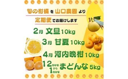 贈答品質 年 4回 定期便 愛媛県 愛南町 山口 農園直送 旬 の 柑橘 定期便 （ まどんな ・ 文旦 ・ 甘夏 ・ 河内晩柑 ） 60,000円 四季 の 味覚 を 満喫 フルーツ サブスク 産地直送 農家直送 旬 詰め合わせ セット 食べ比べ ギフト プレゼント 贈り物 紅まどんな 愛果28号 ぶんたん あまなつ 愛南ゴールド 和製グレープフルーツ 愛媛県 愛南町 山口農園