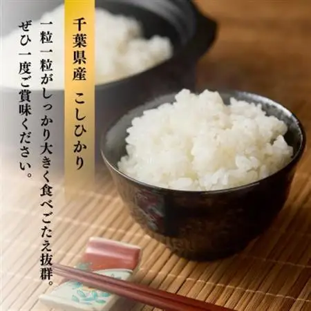 千葉県産こしひかり(精米)10kg(5kg×2袋)【1673834】
