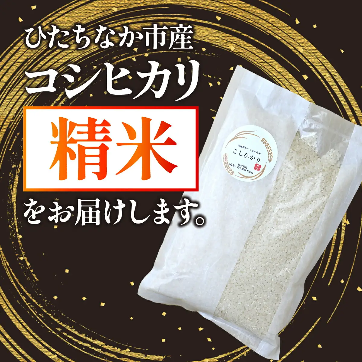 【特別栽培米】コシヒカリ　茨城県産　白米　600g　ギフトにおすすめ【1670035】