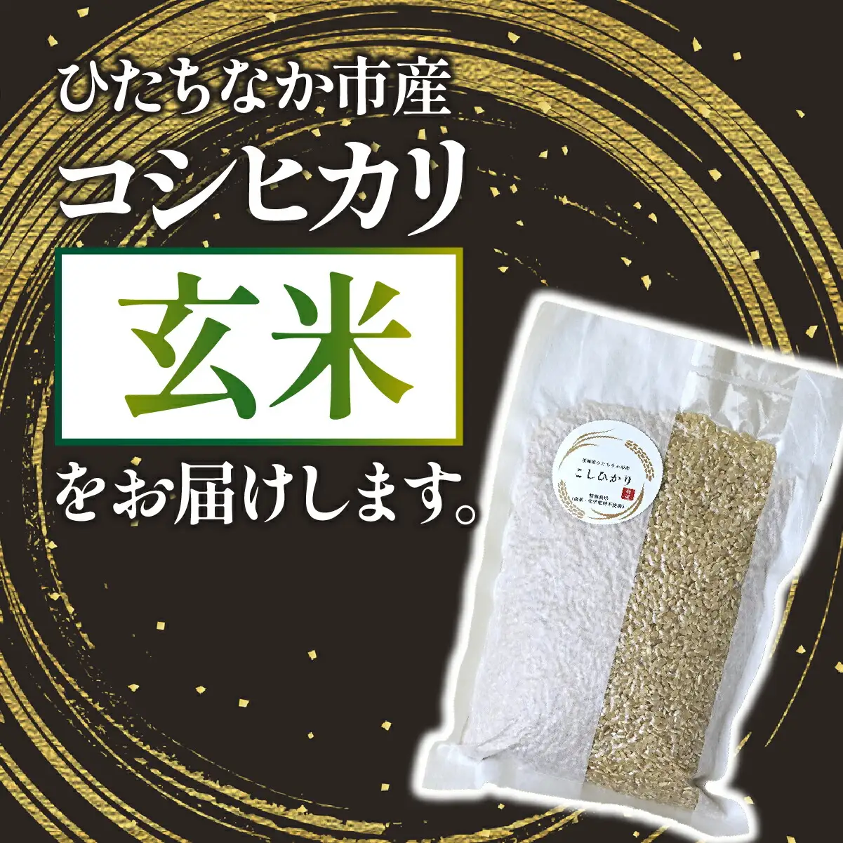 【特別栽培米】コシヒカリ　茨城県産　玄米　600g　ギフトにおすすめ【1670037】