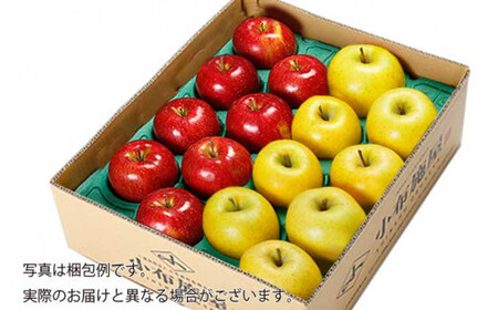 長野県りんごの味比べ 約5kg 12～18玉 シナノスイート シナノゴールド ［小布施屋］ りんご 林檎 リンゴ  果物 フルーツ 令和8年産【2026年10月下旬～11月発送】 ［A-501］
