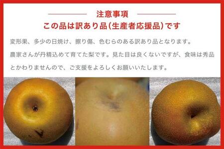 【訳あり】南水 約3kg 6～10玉  [おぶせファーマーズ]  梨 なし フルーツ 果物 ワケアリ 傷 キズ 不揃い 規格外 家庭用 クール便 冷蔵便 長野県産 信州 先行予約 数量限定 【2026年9月下旬～10月下旬発送】［F-32］