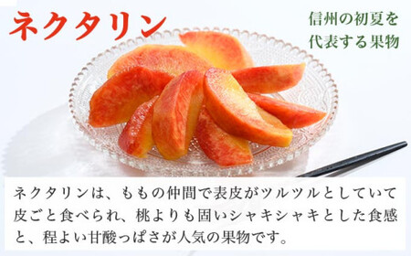 メイグランド 約2.6kg ［おぶせファーマーズ］【2026年7月中旬～8月上旬発送】果物 フルーツ ネクタリン 長野県産 信州産 令和8年産 ［F-13］