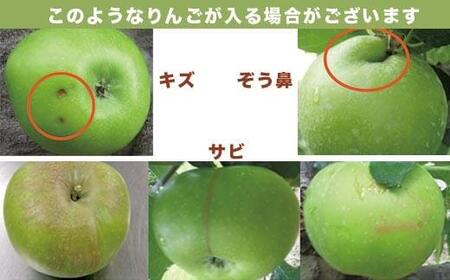 【訳あり】 ブラムリー 約3kg ［新規就農者応援コース 幸作会］長野県産 令和8年産【2026年8月末から順次発送】 ［KH-52］