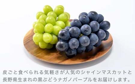 皮ごと食べられる長野県産ぶどう２種詰め合わせ シャインマスカット ＆ ナガノパープル 約1kg 各1房 ［おぶせファーマーズ］ 果物 フルーツ ぶどう 葡萄 冷蔵便 クール便 長野県産 信州産 食べ比べ 令和8年産 【2026年9月中旬～10月上旬発送】  ［F-27］