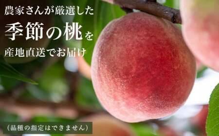 季節の桃 約5kg 13～18玉［ おぶせファーマーズ ］桃 もも モモ ピーチ フルーツ 果物 たまき なつき あかつき 川中島白鳳 なつっこ 川中島白桃 黄金桃 だて白桃 先行予約 長野県産 信州産 クール便 冷蔵便 お取り寄せ 産地直送 数量限定 産地 直送 令和8年産【2026年7月中旬～9月中旬発送】［F-63］
