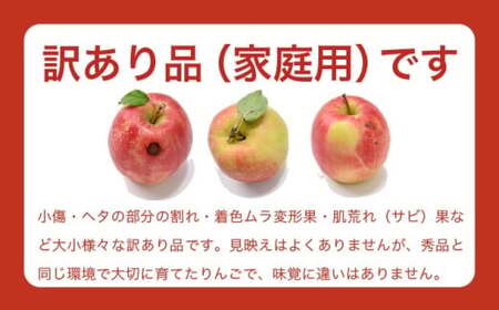 【訳あり】シナノドルチェ 約3kg 6～12玉 ［ おぶせファーマーズ ］ 数量限定 期間限定 果物類 林檎 りんご リンゴ 規格外 不揃い フルーツ 長野県産 信州産 令和8年産 【2026年9月中旬～下旬発送】 ［FH-56］