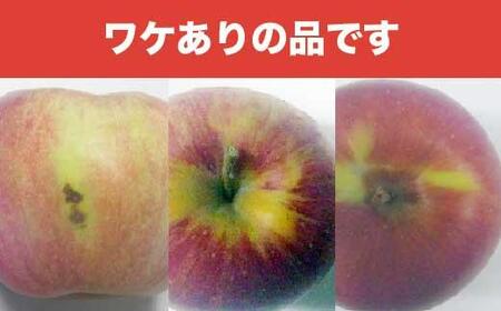 【訳あり】 シナノスイート 約3kg 6～12玉 ［おぶせファーマーズ］ 不揃い 規格外 家庭用  果物 フルーツ りんご 林檎 リンゴ 果物 フルーツ 長野県産 信州産 令和8年産 【2026年10月中旬～11月上旬発送】 ［FH-54］