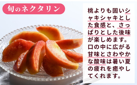 [2回定期便] 旬のネクタリン＆旬の桃 約2.6～3kg 食べ比べ 年2回定期便 2026年7月中旬～8月下旬発送［おぶせファーマーズ］ネクタリン 白桃 旬の桃　ルーツ 果物 冷蔵便 クール便 長野県産 信州産 小布施 令和8年産 [F-69]