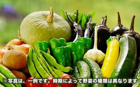  ［栽培期間中農薬・化学肥料不使用］OBUSE Meguru 野菜セット L 9～13種類 ［おぶせファーマーズ］野菜 詰め合わせ  おまかせ やさい 詰合せ お楽しみ 長野県産 信州 令和8年産 【2026年7月上旬より順次発送】  ［FY-3］