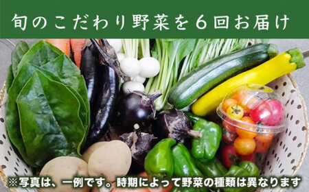 ［年6回定期便］ 農薬・化学肥料を使わずに栽培した野菜年6回定期便 OBUSE Meguru 野菜セット シーズンコース［おぶせファーマーズ］おまかせ 野菜 やさい 詰め合わせ 8～12種類 長野 信州 数量限定 産地直送 令和8年産 【2026年5～6月より順次発送】 
