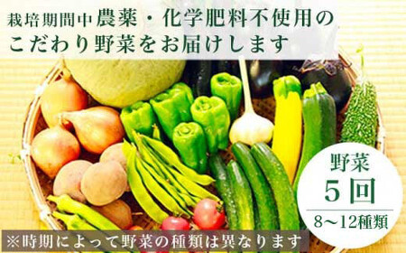 ［年8回定期便］ 農薬・化学肥料を使わずに栽培した野菜と減農薬栽培した果物 年8回定期便 OBUSE Meguru 野菜&フルーツセット シーズンコース［おぶせファーマーズ］おまかせ 野菜 やさい 詰め合わせ 8～12種類 果物 フルーツ 3種類 長野 信州 数量限定 産地直送 令和8年産 【2026年5～6月より順次発送予定】