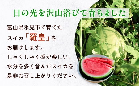 【先行予約】富山県産スイカ 羅皇 中玉 2玉 （3-4kg/玉） 【2026年8月以降順次発送】 スイカ 夏 果物 フルーツ 富山県 氷見市