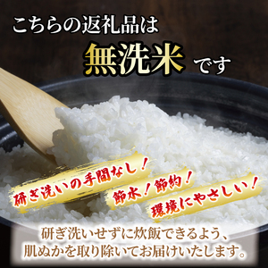 【先行予約】 令和8年度産 千葉県産 コシヒカリ 5kg 新米 無洗米