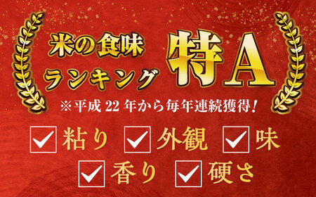 令和7年産 ななしま家 さがびより 5kg×2袋 / 白米 特別栽培 / 佐賀県 / 有限会社七島農産 [41AHAC004]