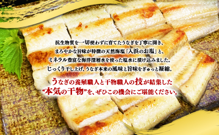 A1-1805　鹿児島県産　うなぎ干物　1尾（120g以上）×2袋