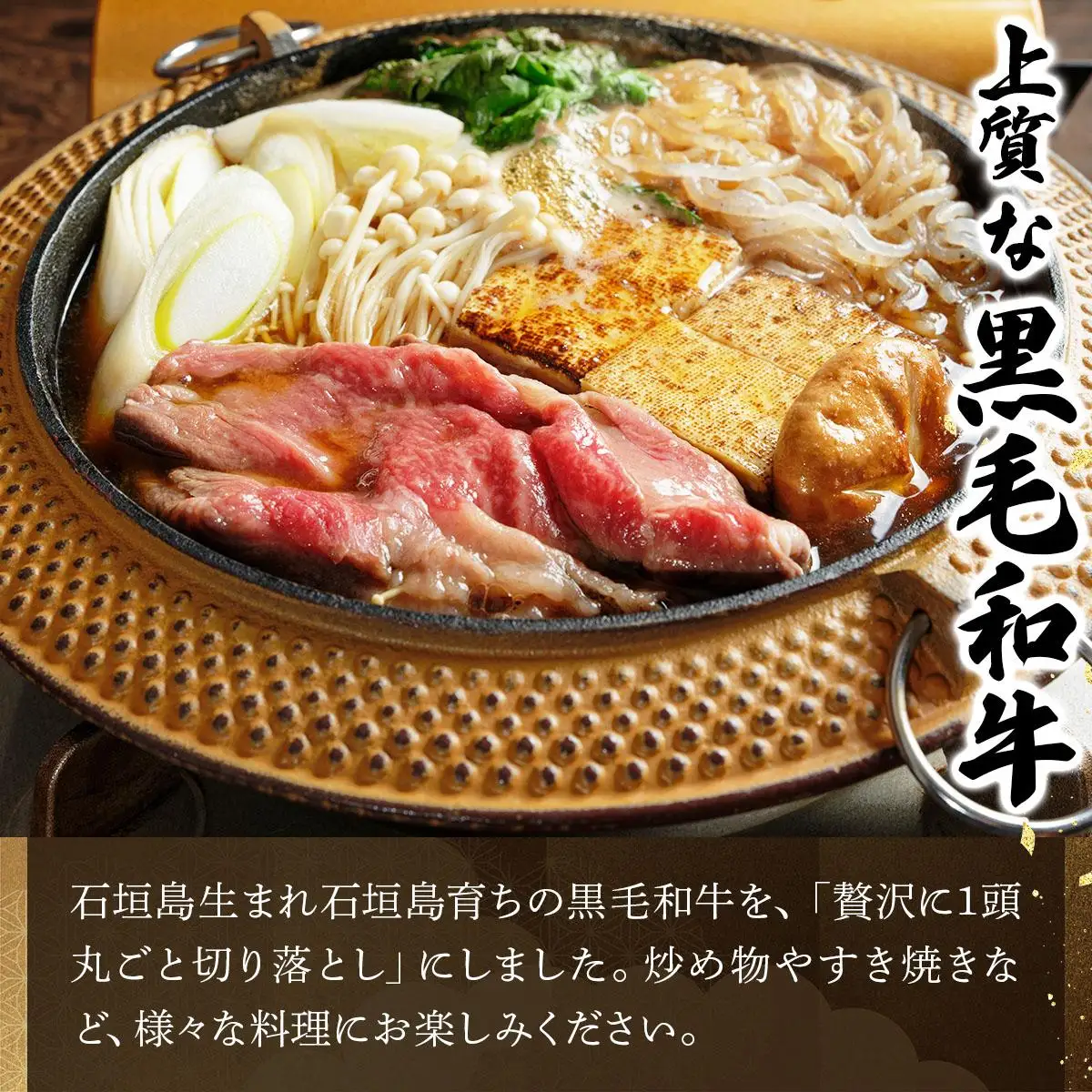 石垣島産経産黒毛和牛 1頭切り落とし 500g E-052