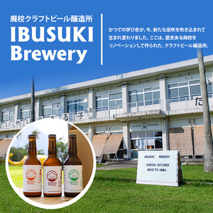 クラフトビール いぶすきケルシュエール【初恋のあの子】6本(いぶすきブルワリー/IB153-004) クラフトビール 瓶 ビール セット ビールセット