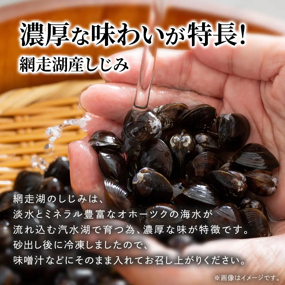 網走湖産 砂出し大和しじみ 2.6kg(200g×13） ABW118