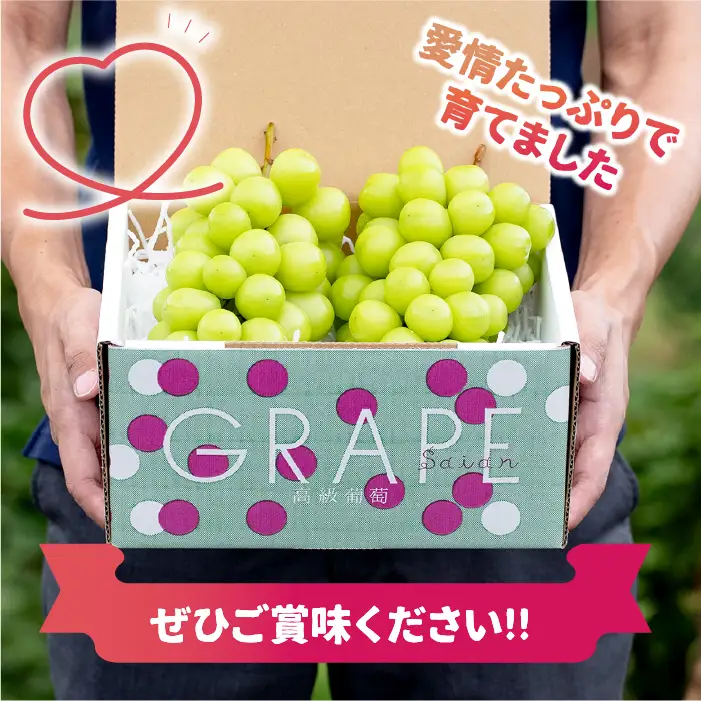 【2026年発送★先行予約】 産地厳選シャインマスカット2.2㎏～2.5kg（3房～5房）106-014-26y