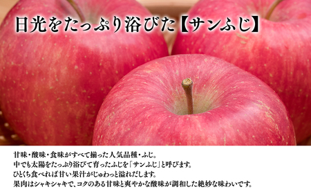 【レビューキャンペーン】6月 クール便発送【訳あり】家庭用有袋ふじ約3㎏【有袋ふじ・りんご・青森・平川・訳あり・家庭用・原田青果・３㎏】[hi-0059-004-6]