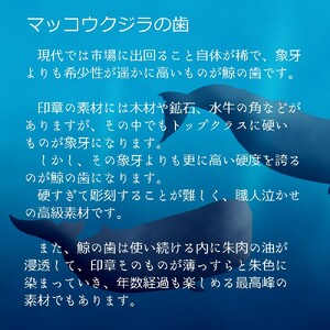 【1点限定】 手彫り印鑑 鯨歯 実印・銀行印セット 標準 13.5mm 16.5mm : 印鑑 はんこ 印章 判子