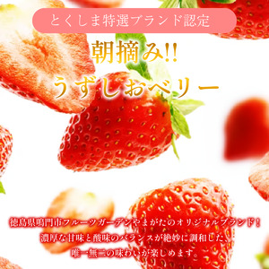 冷凍 いちご 苺 1パック 1kg うずしおベリー 冷凍イチゴ