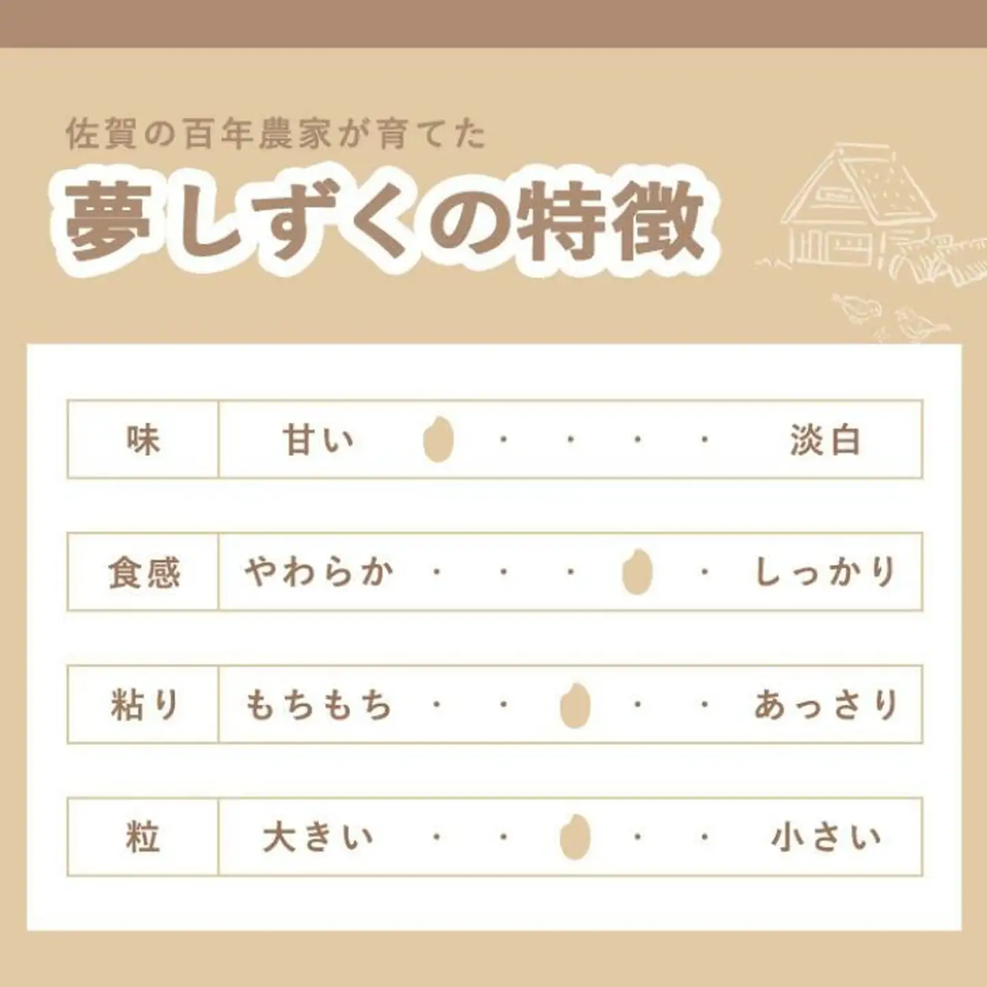 令和7年産 佐賀県産 夢しずく 5kg：B170-031