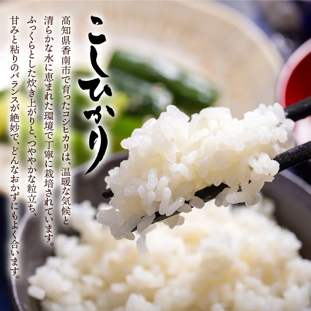 無洗米 令和7年産 コシヒカリ 無洗 cs-0002